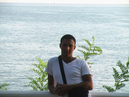   ,   , 40 ,   