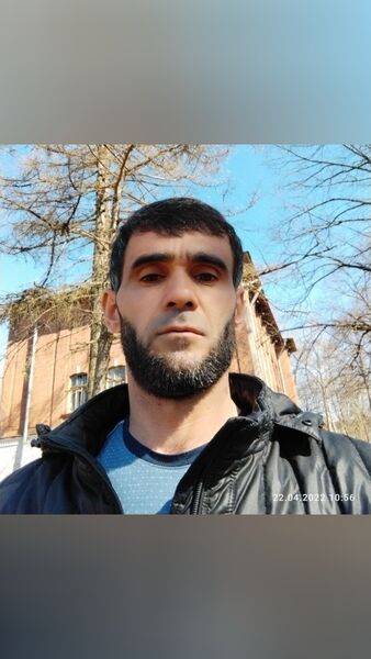  -,   , 43 ,   ,   