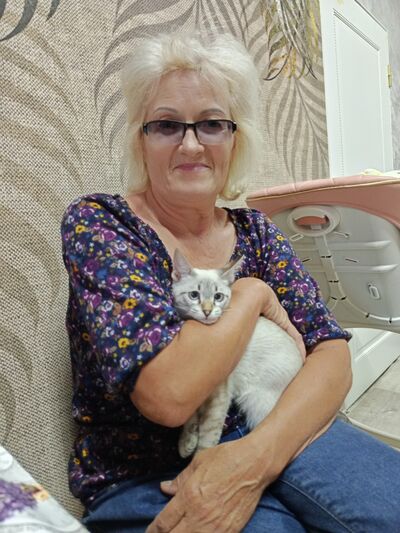   ,   , 62 ,   ,   