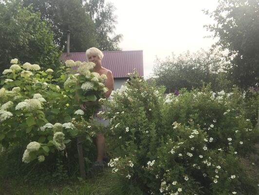  ,   , 59 ,   c 