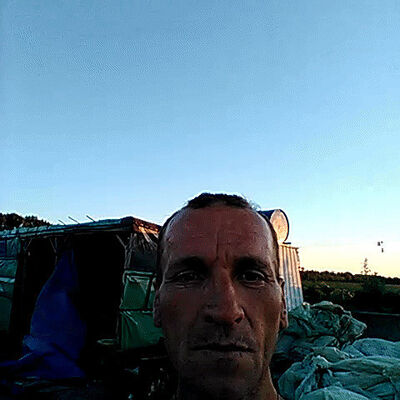  --,   , 51 ,   ,   , c 