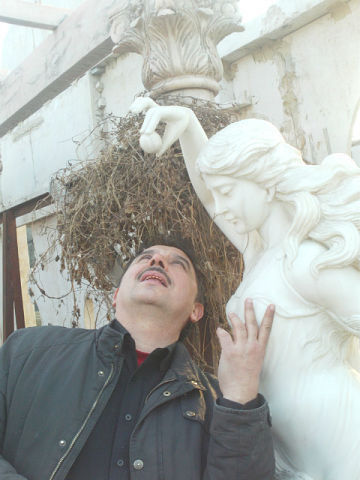  ,   , 53 ,  
