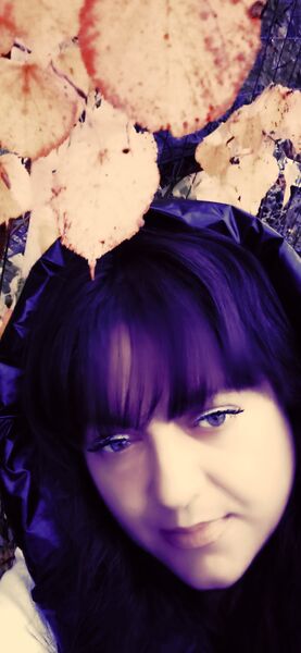  -,   , 44 ,   ,   , 