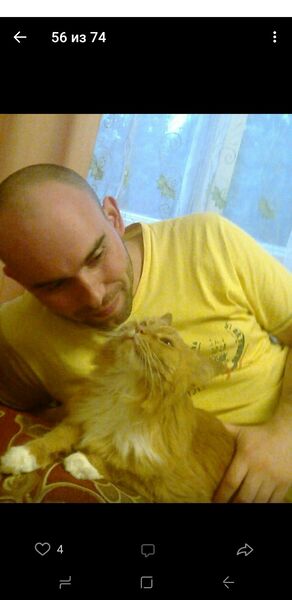  ,   , 41 ,   
