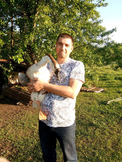  ,   Vlad, 52 ,   ,   , c 