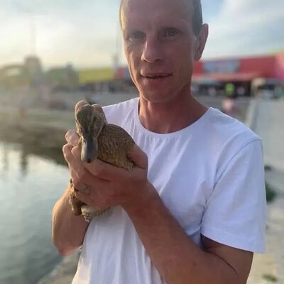  ,   Mikhail, 39 ,   ,   , c 