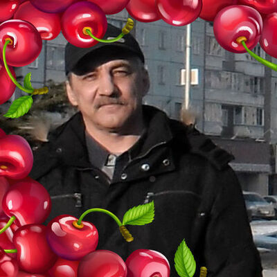  ,   , 64 ,   