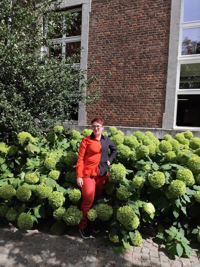  Sint-Truiden,   , 27 ,   c , 