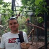  Piliscsaba,  , 40