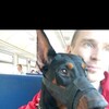  ,  Alexander, 41