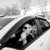   Vadim