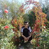  ,  Nar, 34