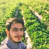   Bekir