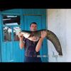   OLEG