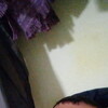   Haum
