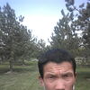   Alibek