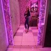  ,  , 21