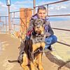   vahan