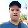   Ը
