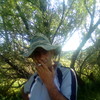   arman