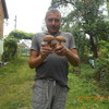   Pavlo