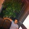   Jamshid