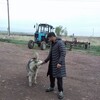  ,  Jamshid, 25
