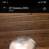  ,  , 21