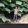  ,  , 25
