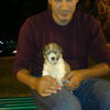  ,  gev, 34