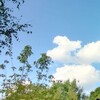  ,  , 22