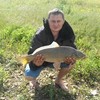   Dima